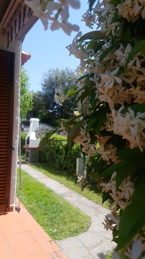 Villetta Cinquale Versilia エクステリア 写真
