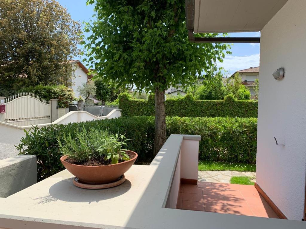 Villetta Cinquale Versilia エクステリア 写真