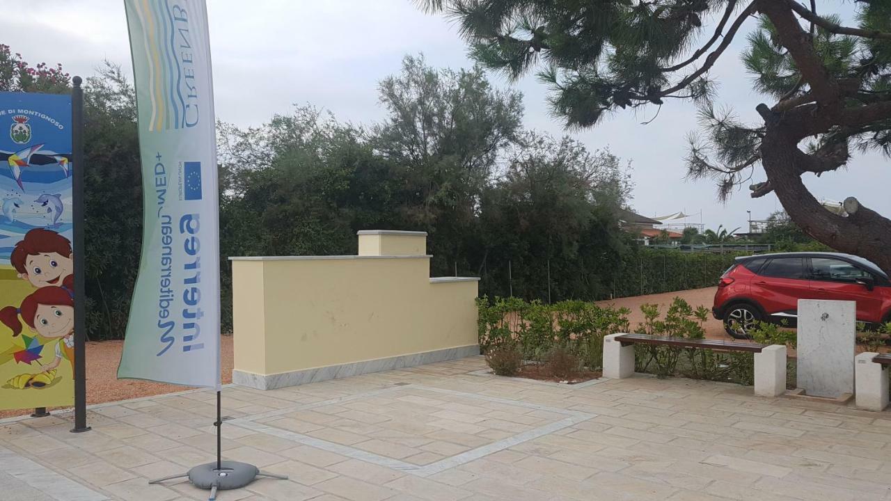 Villetta Cinquale Versilia エクステリア 写真